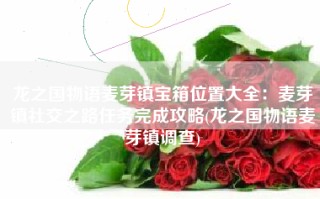 龙之国物语麦芽镇宝箱位置大全：麦芽镇社交之路任务完成攻略(龙之国物语麦芽镇调查)