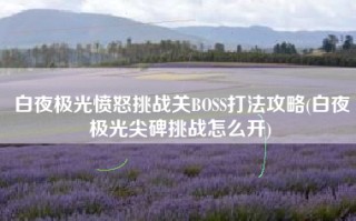 白夜极光愤怒挑战关BOSS打法攻略(白夜极光尖碑挑战怎么开)