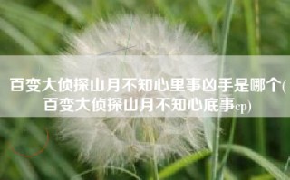百变大侦探山月不知心里事凶手是哪个(百变大侦探山月不知心底事cp)
