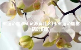 重返帝国铜矿资源有什么用(重返帝国富饶的铜矿)