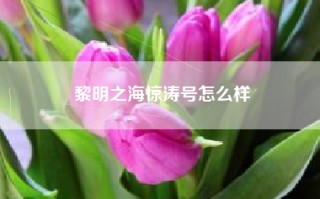 黎明之海惊涛号怎么样