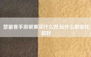 楚留香手游银票买什么好,玩什么职业比较好