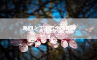 鸿图之下于吉全面评价