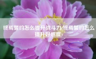 终焉誓约怎么提升战斗力(终焉誓约怎么提升好感度)