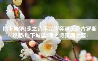 地下城堡3魂之诗平民阵容通关萨古罗斯攻略(地下城堡3魂之诗灵魂之墓)
