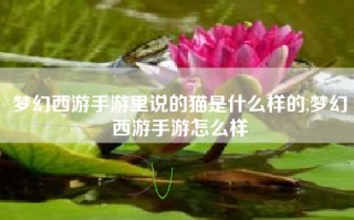 梦幻西游手游里说的猫是什么样的,梦幻西游手游怎么样