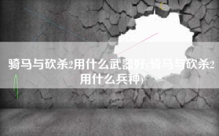 骑马与砍杀2用什么武器好(骑马与砍杀2用什么兵种)