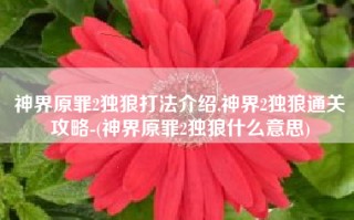 神界原罪2独狼打法介绍,神界2独狼通关攻略-(神界原罪2独狼什么意思)