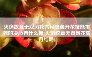 火焰纹章无双风花雪月隐藏开花技能拼死的决心有什么用(火焰纹章无双风花雪月结局)