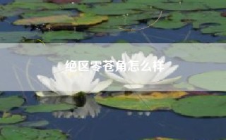 绝区零苍角怎么样