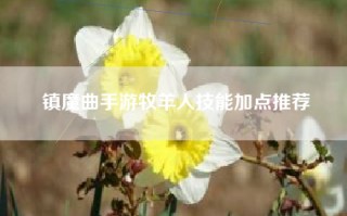 镇魔曲手游牧羊人技能加点推荐