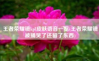 王者荣耀镜kpl皮肤语音一览(王者荣耀镜被捅哭了还留了东西)