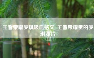 王者荣耀梦琪吸血铭文_王者荣耀里的梦琪照片