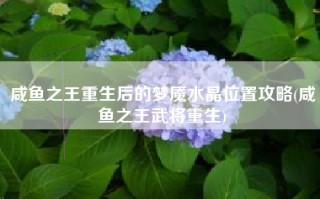 咸鱼之王重生后的梦魇水晶位置攻略(咸鱼之王武将重生)