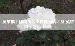 英雄棋士团精灵公主技能强度评测(英雄棋士团31-4精灵)