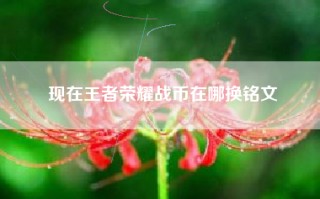 现在王者荣耀战币在哪换铭文