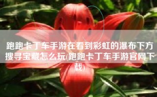 跑跑卡丁车手游在看到彩虹的瀑布下方搜寻宝藏怎么玩(跑跑卡丁车手游官网下载)