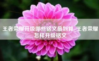 王者荣耀升级哪些铭文最划算_王者荣耀怎样升级铭文