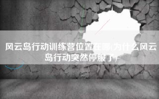 风云岛行动训练营位置在哪(为什么风云岛行动突然停服了)