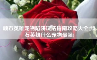 顽石英雄宠物陷阱玩法指南攻略大全(顽石英雄什么宠物最强)