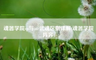 魂器学院sp与mr武魂区别详解(魂器学院阵容)