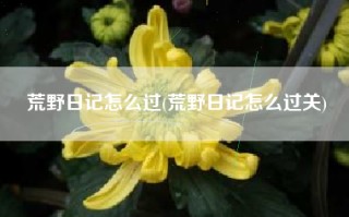 荒野日记怎么过(荒野日记怎么过关)