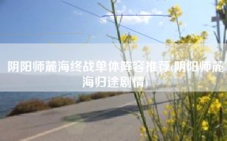 阴阳师麓海终战单体阵容推荐(阴阳师麓海归途剧情)