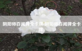 阴阳师百闻牌全卡牌(阴阳师百闻牌全卡牌)
