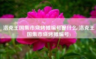 洛克王国集市烧烤摊编号是什么(洛克王国集市烧烤摊编号)