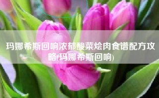 玛娜希斯回响浓郁酸菜烩肉食谱配方攻略(玛娜希斯回响)