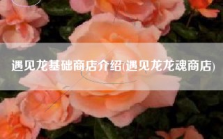 遇见龙基础商店介绍(遇见龙龙魂商店)