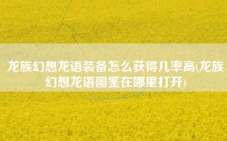 龙族幻想龙语装备怎么获得几率高(龙族幻想龙语图鉴在哪里打开)