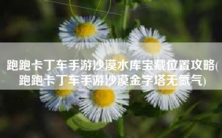 跑跑卡丁车手游沙漠水库宝藏位置攻略(跑跑卡丁车手游沙漠金字塔无氮气)