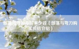 部落与弯刀手游多少钱（部落与弯刀购买价格介绍）