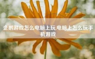 企鹅游戏怎么电脑上玩,电脑上怎么玩手机游戏