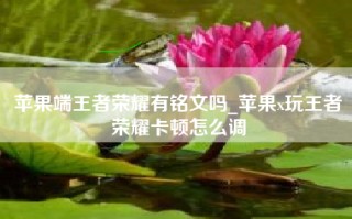 苹果端王者荣耀有铭文吗_苹果x玩王者荣耀卡顿怎么调