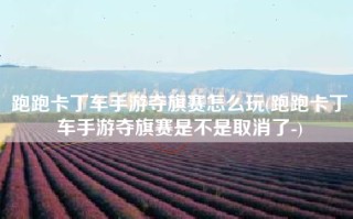 跑跑卡丁车手游夺旗赛怎么玩(跑跑卡丁车手游夺旗赛是不是取消了-)