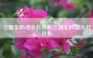 三国无双8怎么打吕布(三国无双8怎么打吕布)