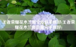 王者荣耀花木兰哪个皮肤手感好(王者荣耀花木兰哪款星元手感好)