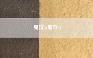 鬼泣5(鬼泣5)
