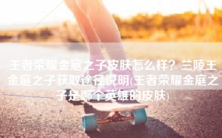 王者荣耀金庭之子皮肤怎么样？兰陵王金庭之子获取途径说明(王者荣耀金庭之子是哪个英雄的皮肤)