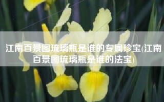 江南百景图琉璃瓶是谁的专属珍宝(江南百景图琉璃瓶是谁的法宝)
