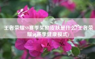 王者荣耀S9赛季奖励皮肤是什么(王者荣耀S9赛季健康模式)