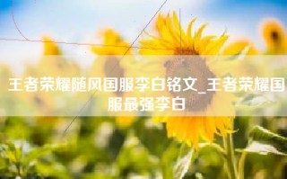 王者荣耀随风国服李白铭文_王者荣耀国服最强李白