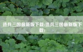 造兵三国最新版下载(造兵三国最新版下载)