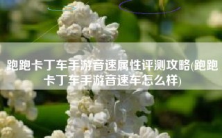 跑跑卡丁车手游音速属性评测攻略(跑跑卡丁车手游音速车怎么样)