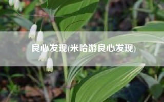 良心发现(米哈游良心发现)