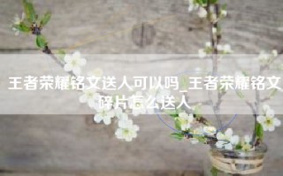 王者荣耀铭文送人可以吗_王者荣耀铭文碎片怎么送人