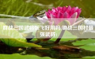群战三国武将张飞好用吗(锄战三国村最强武将)