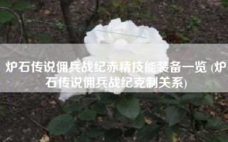 炉石传说佣兵战纪赤精技能装备一览 (炉石传说佣兵战纪克制关系)